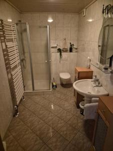 a bathroom with a shower and a sink and a toilet at Ferienhof Michaelis in Bruchhausen-Vilsen +20 photos