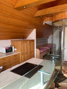 a kitchen with a glass counter top in a room at Vinný sklep Tesařík in Prušánky