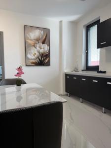 a kitchen with black cabinets and a painting on the wall at Mayor Pension in Komárno