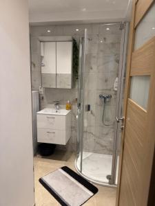 a bathroom with a shower and a sink at Apartment 4 rooms 'Bauer' in Korfantów +16 photos