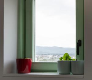 a window with three plants sitting on a window sill at El Sueño, La Perla in Barres