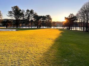 a shadow of a tree on a field of grass at Chambres de séjour et Brasserie du Coiroux in Aubazines