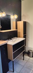 a bathroom with a sink and a mirror at Appartement dans haras in Saint-André-le-Puy +18 photos