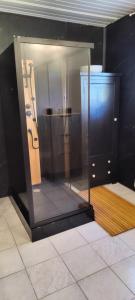 a bathroom with a mirror and a shower in a room at Appartement dans haras in Saint-André-le-Puy