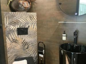 a bathroom with a toilet and a mirror at Apartmány Javorek in Sněžné +104 photos