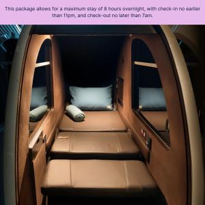 Single Igloo Pod – 8 Hour Night Stay from 23:00-07:00 hrs (11pm-7am)