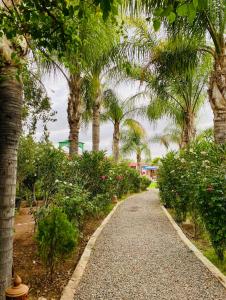 a path through a garden with palm trees and flowers at Bungalow with Pool View & Breakfast in Marrakesh