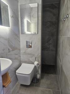 a bathroom with a toilet and a sink and a mirror at Guesthouse Delisa in Pärnu +18 photos