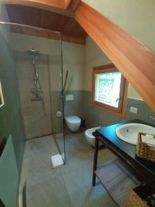 a bathroom with a shower and a toilet and a sink at Una casa tra gli alberi in Tresivio