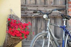 Vožnja bicikla kod ili u okolini objekta Cascina delle Mele