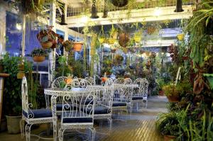 a room with tables and chairs and potted plants at Brightland Hotel near Mall Road - Stags entry not allowed in Shimla