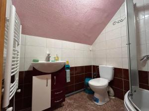 a bathroom with a toilet and a sink at Садиба У Коса in Pilipets +34 photos