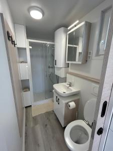 a bathroom with a toilet and a sink and a shower at Hausboot Santa Lucia Novigrad - Floating Sea House in Novigrad Istria +24 photos