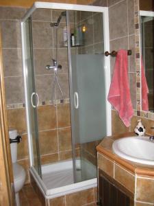 a bathroom with a shower and a sink at Casa Rural El Ensueño in Caneto +25 photos