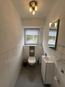 a bathroom with a toilet and a sink and a window at Schwarzwald Loft in Villingen-Schwenningen