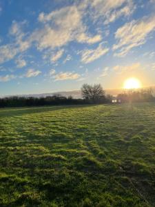 a field of grass with the sun in the sky at Happy Meadows - The Chick Inn in Long Stratton +5 photos