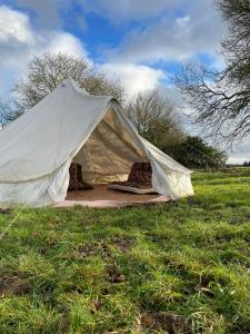 a tent in the middle of a field at Happy Meadows - The Chick Inn in Long Stratton