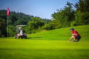 a man kneeling on a golf course with a golf cart at Gästehaus Maasberg in Bad Sobernheim