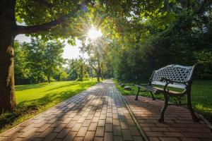 a bench sitting on a brick path in a park at Gästehaus Maasberg in Bad Sobernheim +17 photos