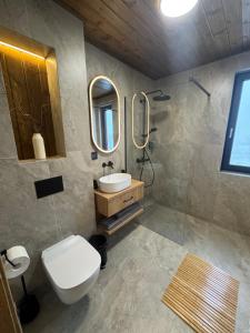 a bathroom with a toilet and a sink and a mirror at Altitude Escape Retreat in Fundata +14 photos