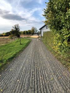 a dirt road with a barn in the distance at Pensionat på hästgård in Alunda