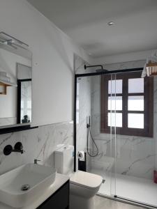 a bathroom with a toilet and a shower and a sink at Hotel Apartamento 3 Lobitos in Villardeciervos +11 photos