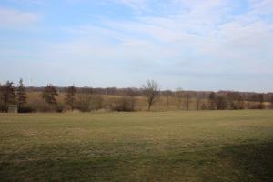 a large open field with trees in the distance at Ferienhaus Grasse in Görlitz