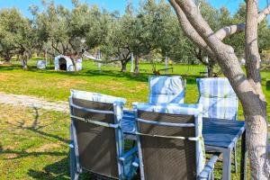 two chairs sitting under a tree in a park at Oleander Garden in Alexandroupoli