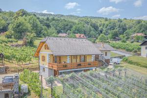an overhead view of a house in a vineyard at Vineyard Cottage Stepan in Črnomelj