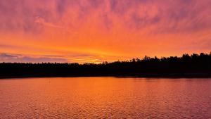 a sunset over a lake with trees in the background at Hotel Döllnsee-Schorfheide in Templin +133 photos