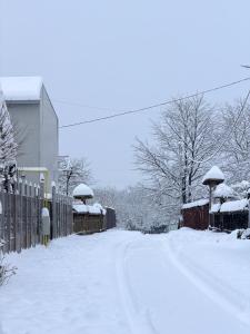 a street covered in snow with a fence and trees at Stefy Home Holiday in Viişoara
