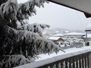 a tree covered in snow next to a fence at Stefy Home Holiday in Viişoara