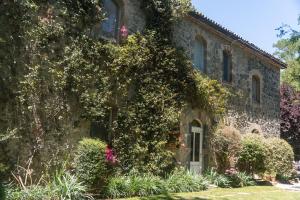 an old stone house with a tree in front of it at CollinaBlu in Torre San Severo