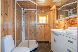 a bathroom with a shower and a toilet and a sink at Rundetjødn 20 in Hol