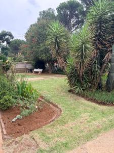 a park with two palm trees and a bench at Ring Road Guesthouse in Vereeniging