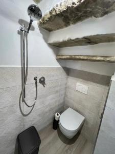a bathroom with a shower with a toilet in it at Tolletta 10 e Lode in Arezzo
