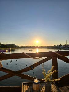 a group of ducks on the water at sunset at Domček na vode 6 in Senec +13 photos