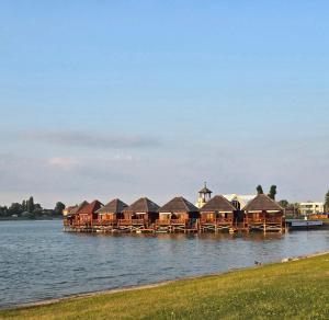 a row of houses on a dock in the water at Domček na vode 6 in Senec