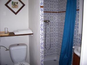 a bathroom with a toilet and a shower curtain at Auberge Cocagne in Avèze +26 photos