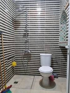 a bathroom with a toilet and a shower at Appartement Imi-Ouaddar 1 in Agadir nʼ Aït Sa