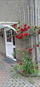 a door with red flowers in front of a house at Homestay Maashees in Maashees