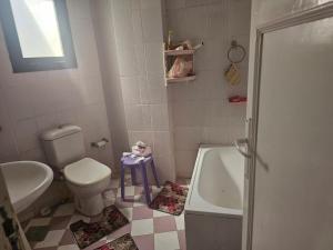 a bathroom with a toilet and a sink and a tub at Modern Luxury Villa Steps from the Sea North Coast in Borg El Arab +11 photos