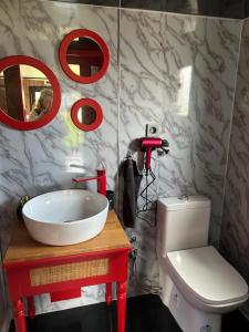 a bathroom with a sink and a toilet at Tiny Haus roter Wagen in Langenselbold