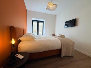 a bedroom with a large bed and a television at Chez Max - Terrasse - Climatisation - Parking gratuit in Beaune +18 photos