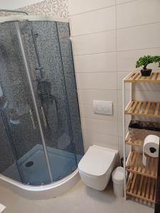 a bathroom with a shower and a toilet at Vinea Nature in Brkač