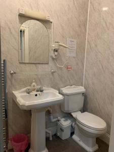 a bathroom with a toilet and a sink and a mirror at Coconut Cove in Blackpool