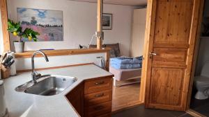 a kitchen with a sink and a wooden door at Købmandsgården 1 in Sæby