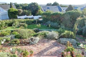 a garden with many different plants and trees at Turquoise Loft, Noordhoek, Cape Town in Good Hope