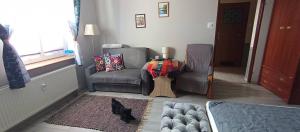 a living room with a couch and a cat sitting on a rug at Kawalerka u Megi in Borne Sulinowo