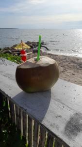 a coconut with a green straw in it sitting on a bench near the ocean at Maracas Hospedaje in Rincón +13 photos